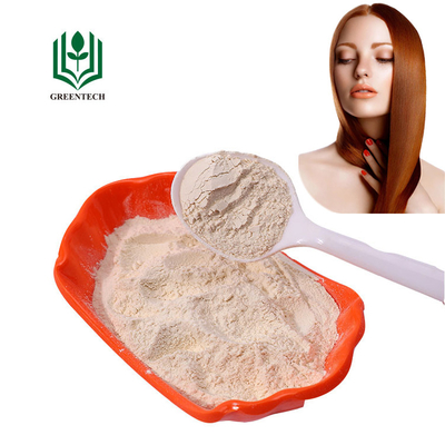 Chiết xuất móng giò lợn Bột protein Keratin để điều trị tóc GMP