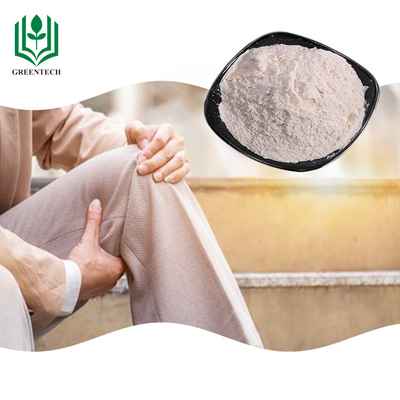 Chất bổ sung chondroitin Sulfate từ sụn cá mập ngoài bột trắng cho bệnh vẩy nến