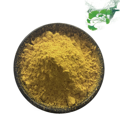 Bột lá Ginkgo Biloba USP40 Chiết xuất thảo mộc tự nhiên để bổ sung chế độ ăn uống