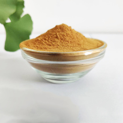 Chiết xuất Ginkgo Biloba tự nhiên 24/6 Bột để bổ sung chế độ ăn uống
